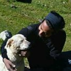 Lesin