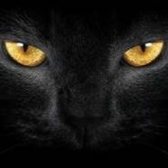 BlacKat