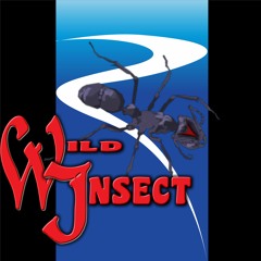 WILD INSECT ENTERTAINMENT