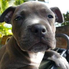 Let The Heavens Open - Kari Jobe