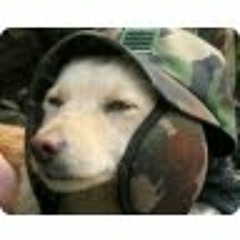 김형&서지 영문버전