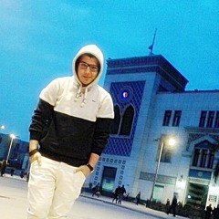 Ahmed Elshobokshy