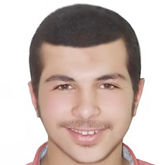 Mohammedashraf Abdelmonem