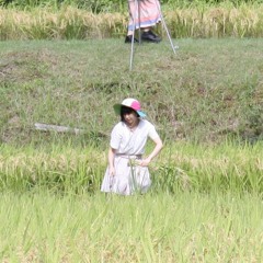 Natsumi Katase