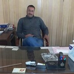 تامر السيد مصرى