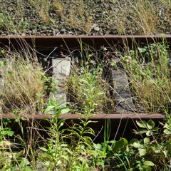 0711Stöpsel