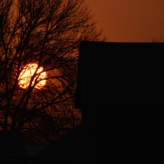 MattLevin-WalkingManSongs