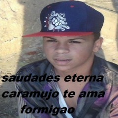 Ratatui do cpx do caramujo