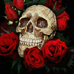 X_Scars