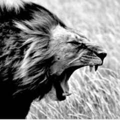 THE ROAR