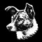 Soviet Space Dogs