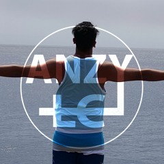 ANZY LC