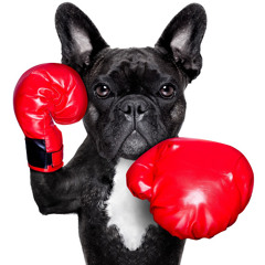 Никита Шишлов