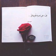 Aliaa M. El-Sherif