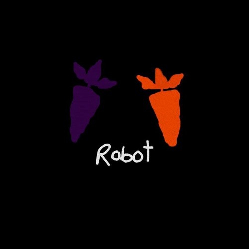 Robot’s avatar