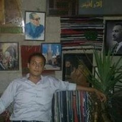 Mohamed Safy 2