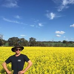 VulpesVulpesOfficial