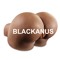 Black Anus