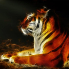 khaled digitalprint90