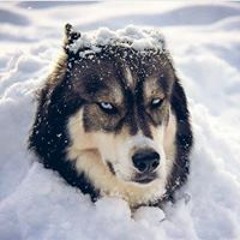 Анелия Захариева