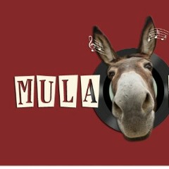 MulaRecords