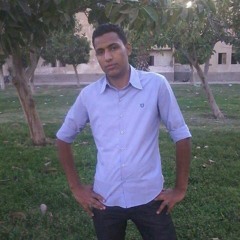 الشيخ محمود الحلفاوي