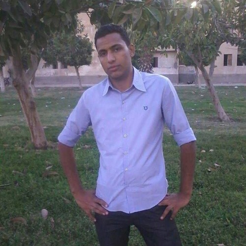 الشيخ محمود الحلفاوي