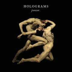 Holograms