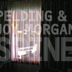 Pelding
