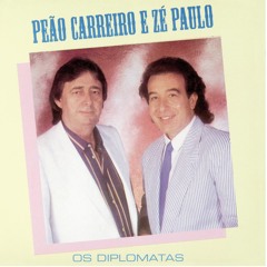 Peao Carreiro e Ze Paulo As 40 Melhores - Todas As Músicas De Peão Carreiro  e Zé Paulo 