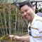 Thitiphong Pintaphrom