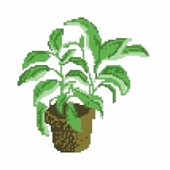 chill plant