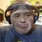 monkeydjhernandarias