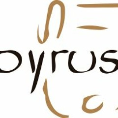 papyrus group