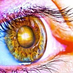 Innate Concept