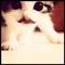 Kamy :3