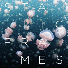Static Frames