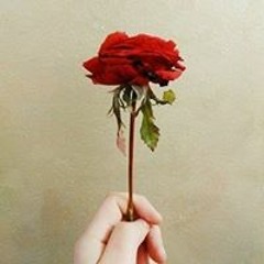Esraa Elgendy