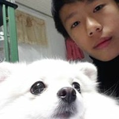 周庭庭