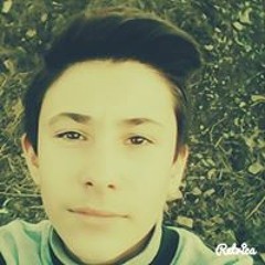 Iordan Alin