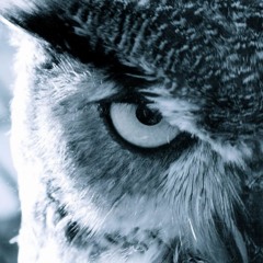 FocuS