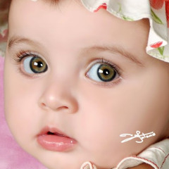mahmoued saif