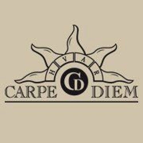 Vi carpe diem. Carpe Diem. Carpe Diem арт. DJ Carpe Diem фото. Макет Carpe Diem.