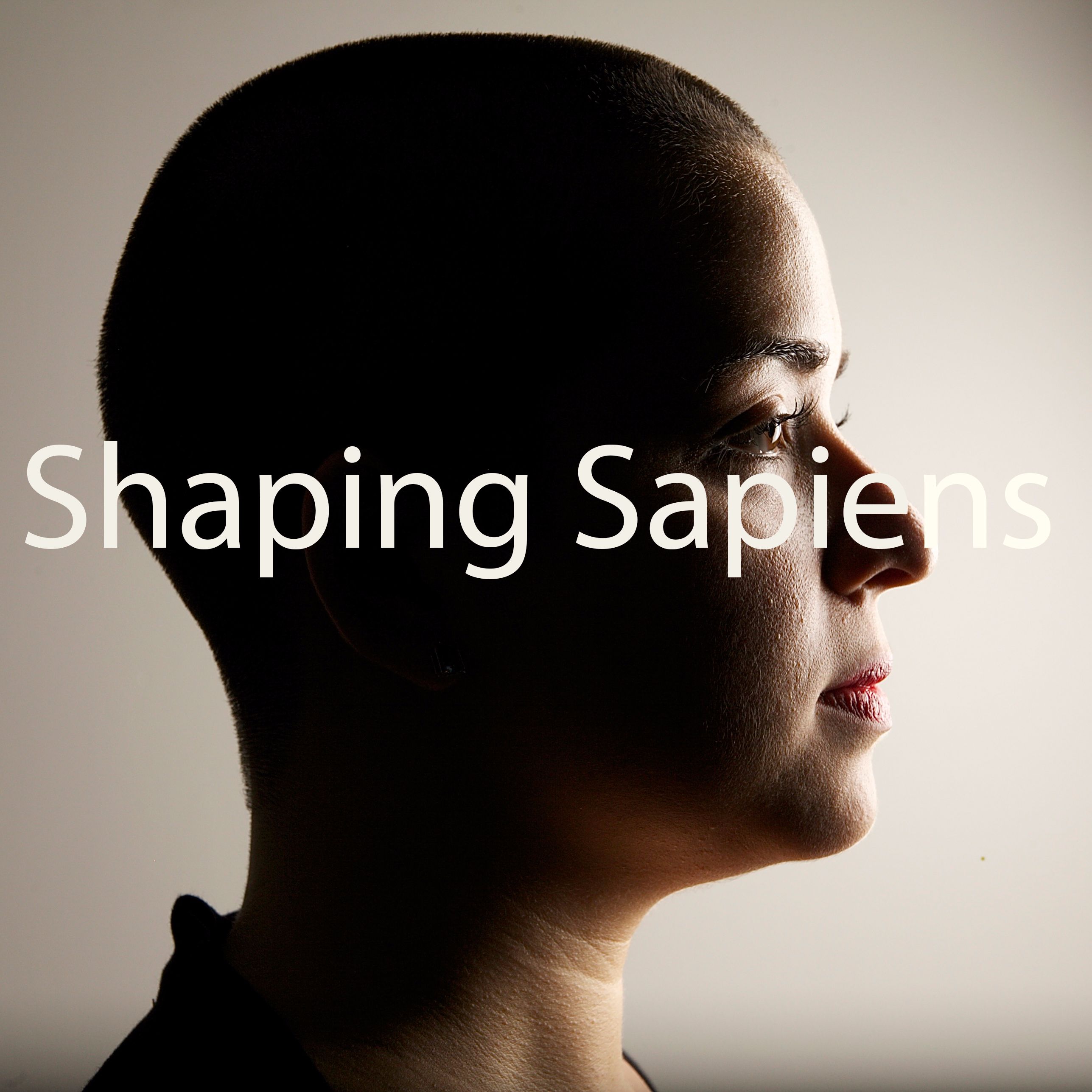Shaping Sapiens podcast artwork