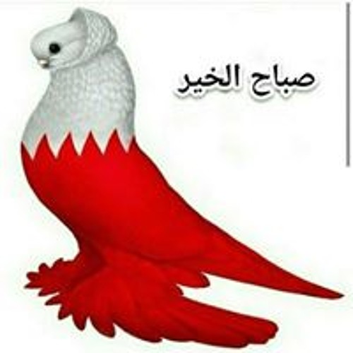 Adel Ahmed’s avatar