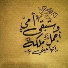 ShereHan Abdo Abdo