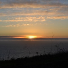 JustAnotherBrooklynJoe