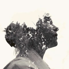 iva_