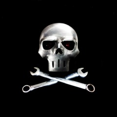 Titanium Cranium