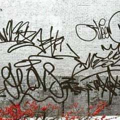 Roberto Alfaro Allende